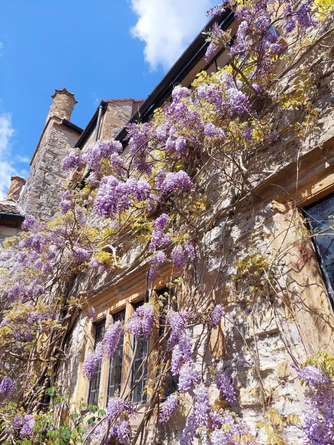 The Manor House, Curry Mallet Taunton Esterno foto