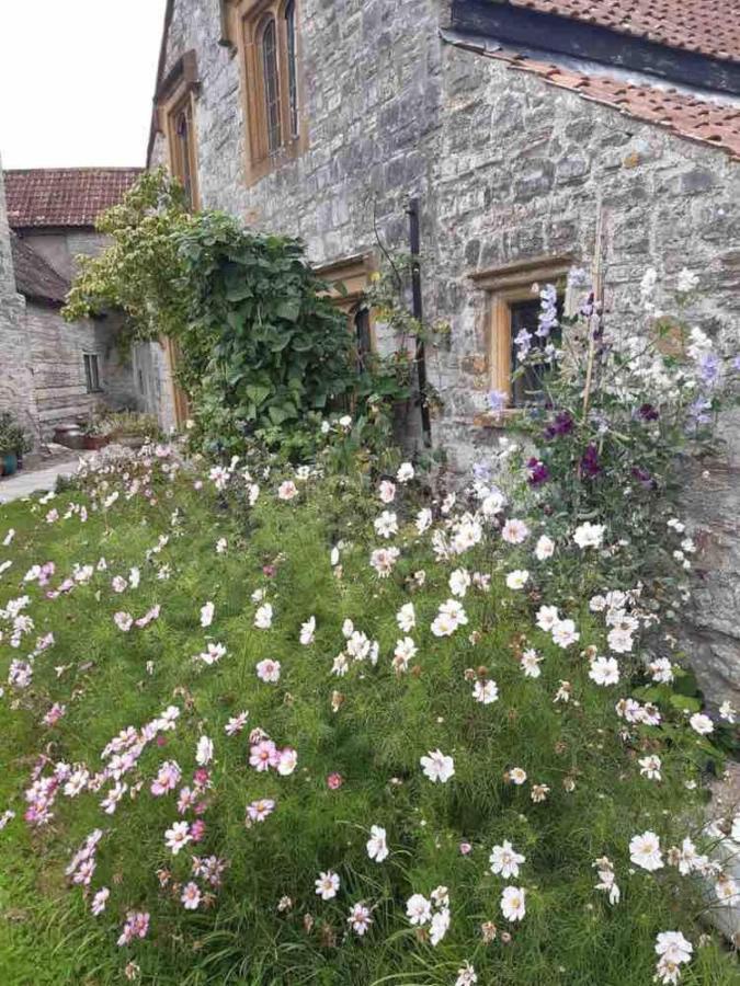 The Manor House, Curry Mallet Taunton Esterno foto