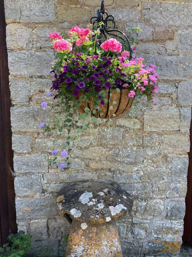 The Manor House, Curry Mallet Taunton Esterno foto